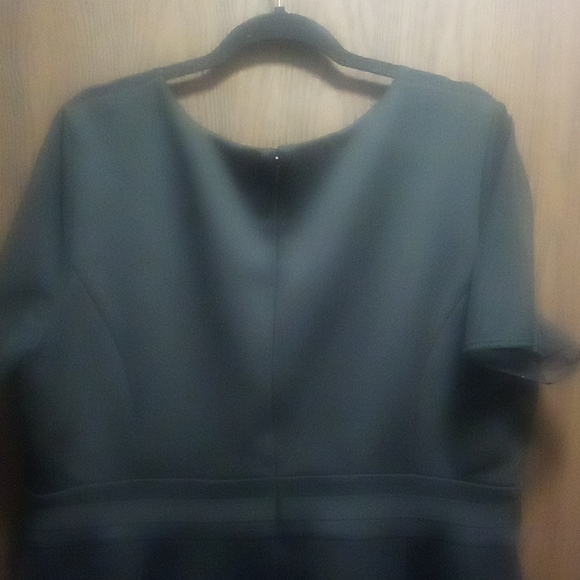 Lane Bryant Neoprene Sheer Dress - Picture 9 of 12